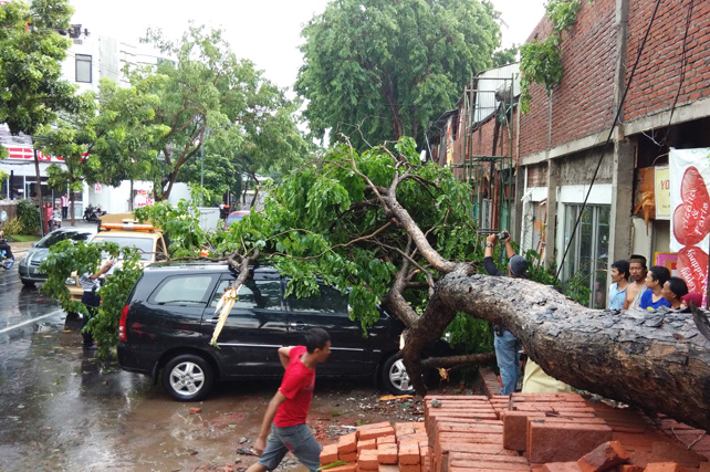 Hujan Lebat Disertai Angin, Dua Mobil Tertimpa Pohon – Suara Surabaya