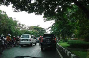 Suasana Hijau di Tengah Kota Surabaya