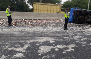 Truk Muat Kelapa Terguling di Tol Sidoarjo