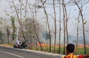 Lahan Dilahap si Jago Merah