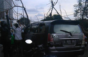 Pohon Tumbang Kena Mobil di Kedung Baruk