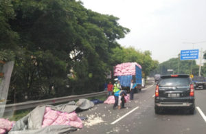 Truk Muat Bawang Putih, Tumpah.