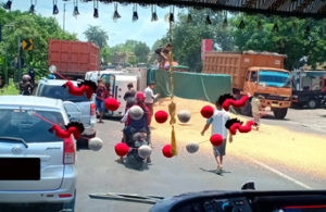 Truk Muat Jagung Terguling di Balongbendo