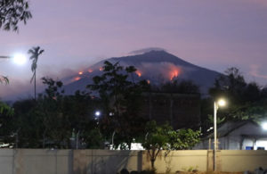 Kebakaran Gunung Arjuno