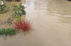 Kondisi Banjir di Ngablak, Benjeng