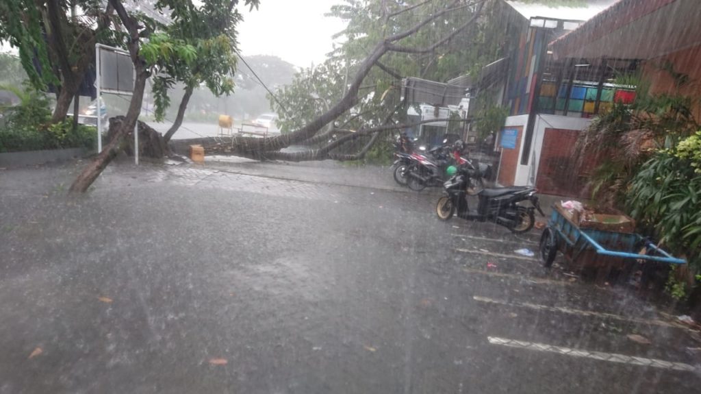 Hujan Deras Dan Angin Kencang, Pohon Tumbang Dan Banjir Di Beberapa ...