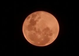 Pantauan Gerhana Bulan Total di Waru, Rabu (26/5) malam