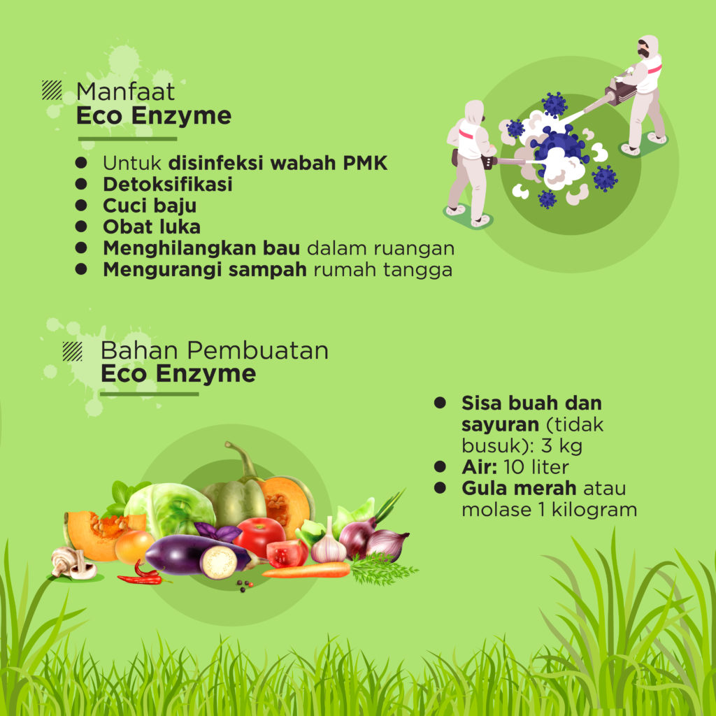 Eco Enzyme Untuk Disinfeksi Wabah PMK