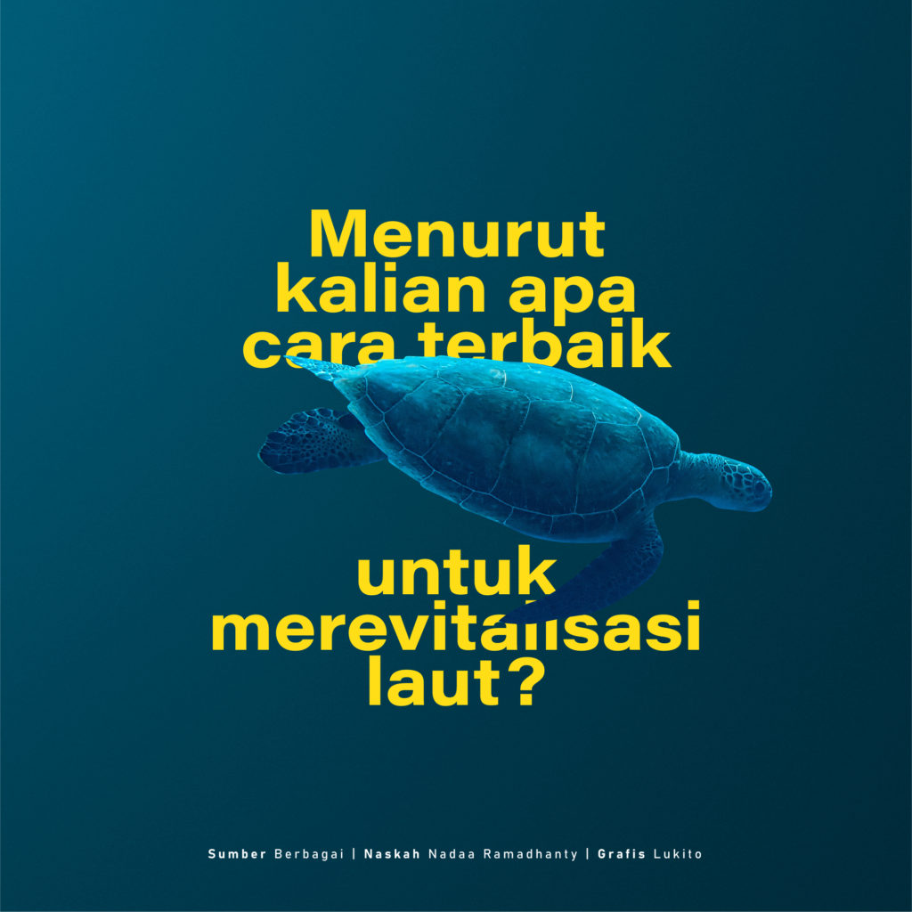 Jangan Nyampah Di Laut, Selamat Hari Laut Sedunia