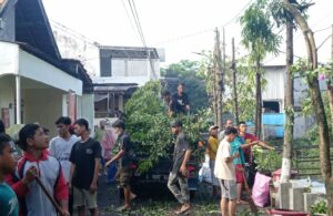 Warga Menanggal Bersihkan Selokan dan Merapikan Pohon