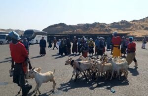 Jemaah Haji Indonesia Ziarah dan Menyembelih Kambing