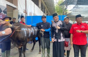 Sapi Kurban untuk Warga Surabaya