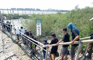 Peringati Hari Santri, Tanam 2.500 Bibit Mangrove di Romokalisari