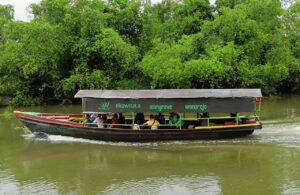 Liburan, Wisatawan di Ekowisata Mangrove Surabaya Melonjak