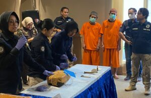 BNNP Jatim Musnahkan 1,8 Kilogram Ganja dari Medan