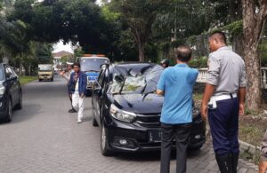 Pohon Tumbang di Darmo Harapan Surabaya Timpa Mobil