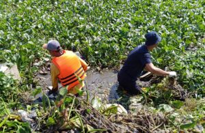 Bersih-Bersih Eceng Gondok dan Sampah di Sungai Pelayaran Taman