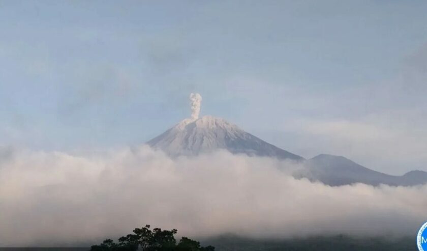 Gunung Semeru erupsi dengan letusan abu vulkanik setinggi 800 meter di atas puncak pada Senin (20/5/2024). Foto: Antara