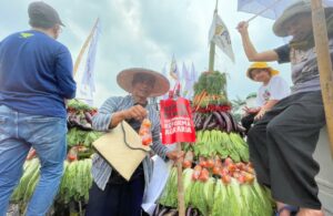 Ribuan Petani Unjuk Rasa di DPR RI