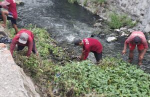 Warga Simo Mulyo Baru RT 07 RW 04 Kerja Bakti Bersihkan Rumput dan Tanaman Gulma di Sungai