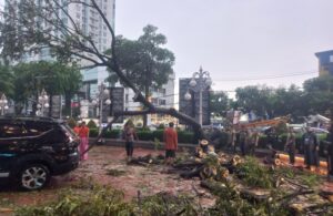 Hujan Angin Sebabkan Pohon Tumbang dan Genangan Air di Surabaya