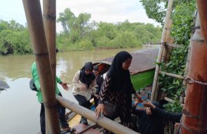 Ekowisata Mangrove Surabaya Ramai Pengunjung