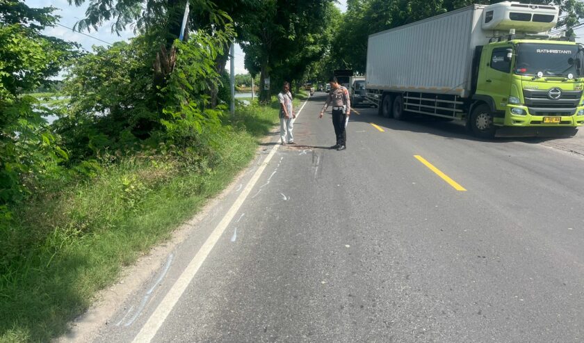 Penumpang Motor Meninggal Usai Terjatuh dan Tertabrak Truk di Bungah Gresik